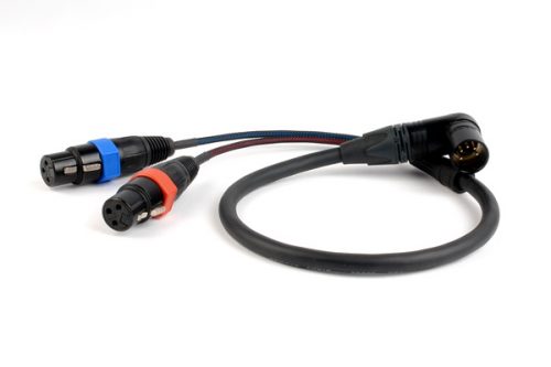 Remote Audio Alexa Audio Input Cable (CAXSTEX5MR)